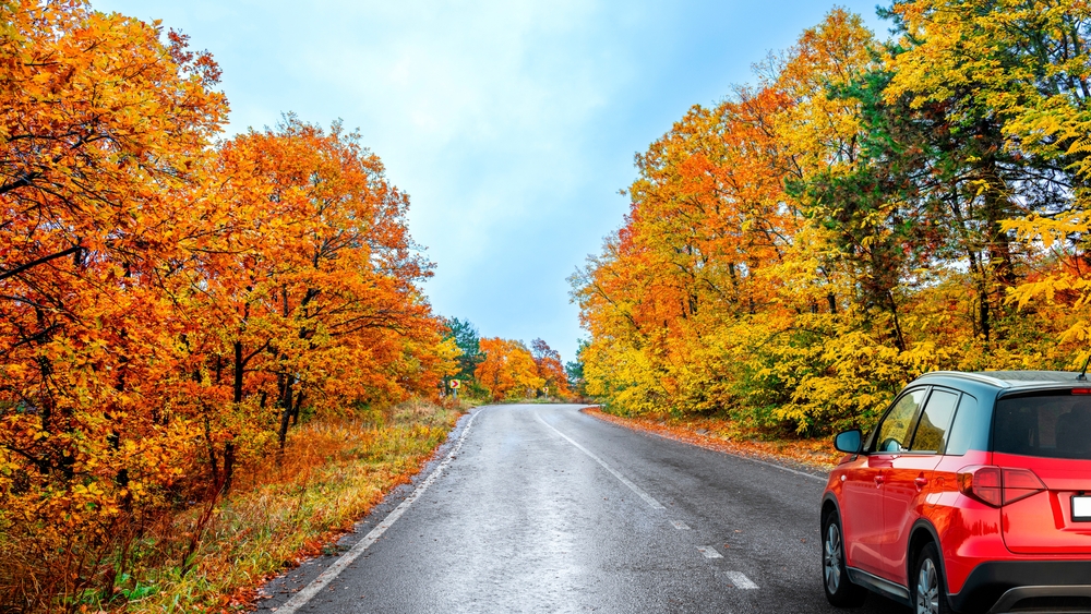 Fall Driving Hazards in Ohio
